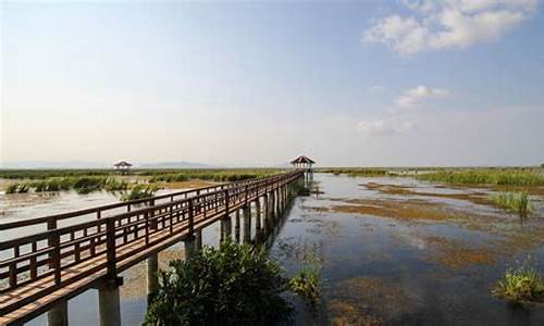 崇明岛旅游攻略景点必去小孩玩的地方_崇明岛旅游攻略景点必去小